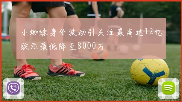 小蜘蛛身价波动引关注最高达12亿欧元最低降至8000万
